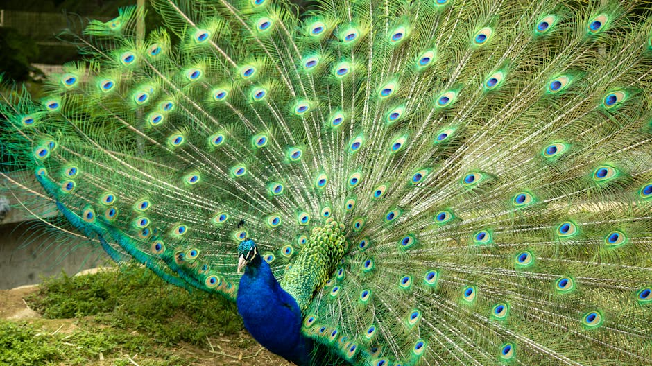 Update: What's next for social media?