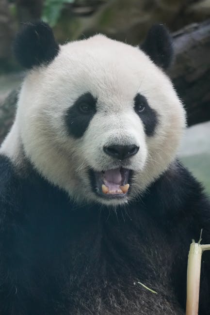 Update: Was China the reason Guyana faced higher Trump tariff?