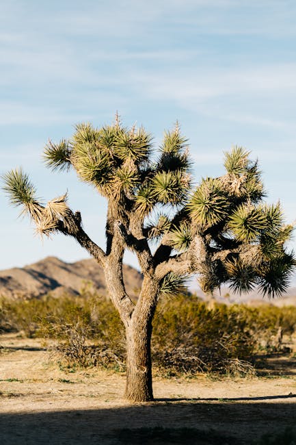 Big News: US jobs grow by more than expected despite tariff turmoil