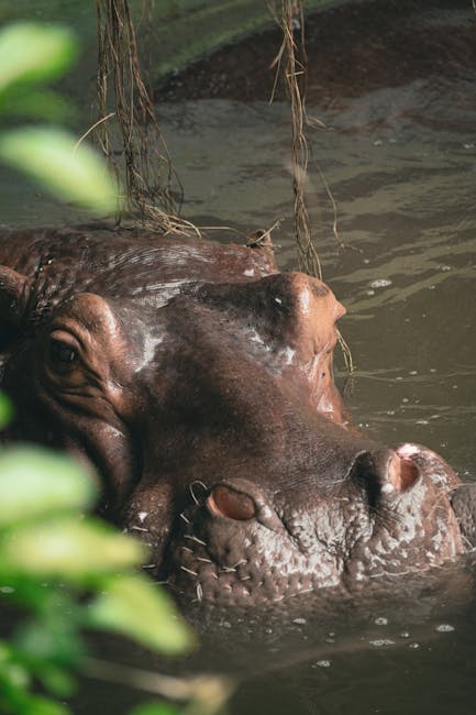 Big News: Robot vacuums 'could water plants or play with cat'