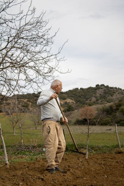 Breaking: Why Forrest is Celtic's man for all seasons