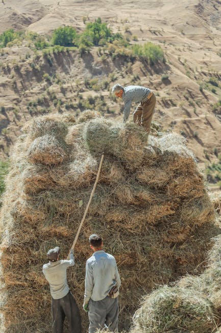 Big News: Dries Van Noten and Mytheresa pen a love letter to summer with their latest collaboration