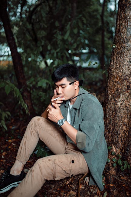 Breaking: Watch video shown to jurors in Sycamore Gap tree trial