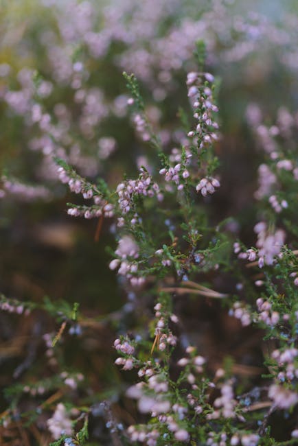 New: Scotland score last-minute try to beat Ireland