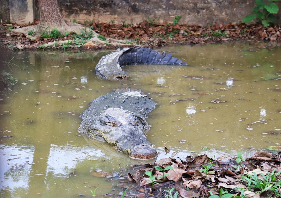 Big News: Phil Mitchell - 'We can do it because we've got each other'