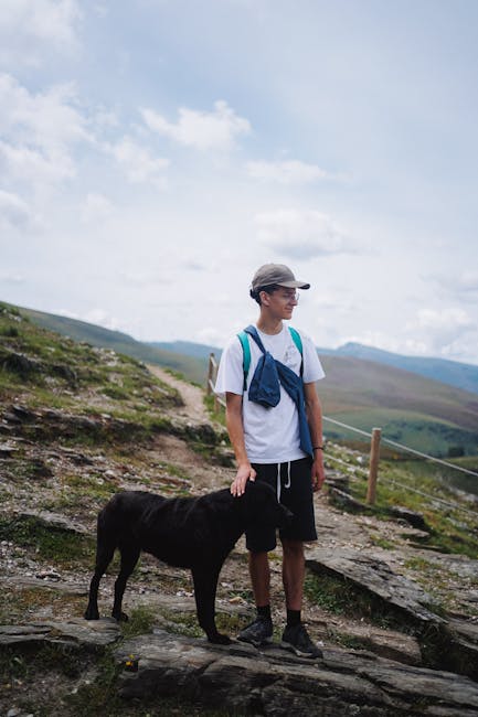 New: Dog found using owner's t-shirt after 529 days in Australian wilderness