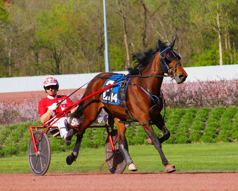 Latest: O'Sullivan loses to dominant Zhao as Williams reins in Trump