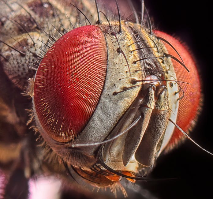 Latest: 'World's shortest festival' brings buzz to islands