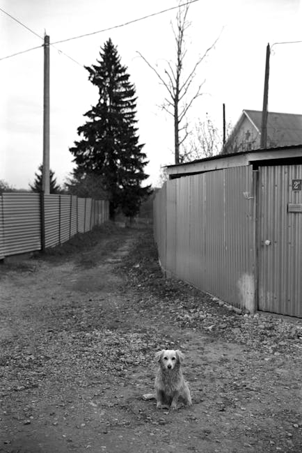 New: How ordinary Poles are preparing for a Russian invasion