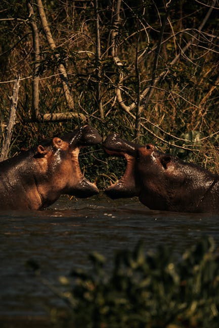 Update: Ferocious Eubank v Benn fight in pictures