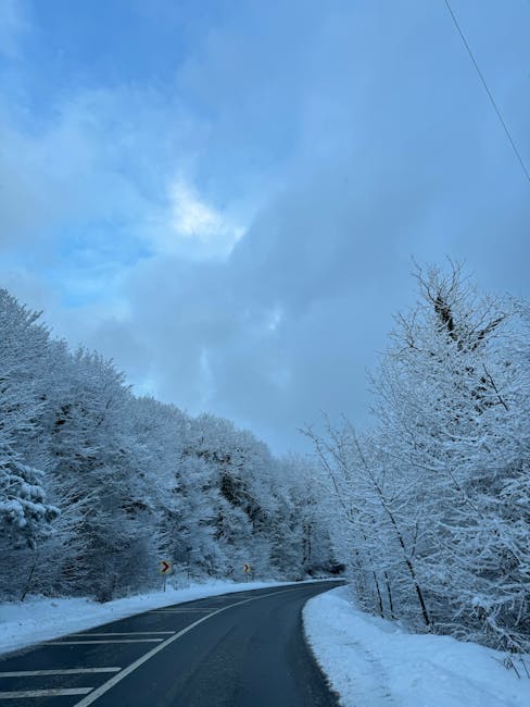 New: Will Ferrari turn their season around?